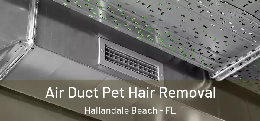 Air Duct Pet Hair Removal Hallandale Beach - FL