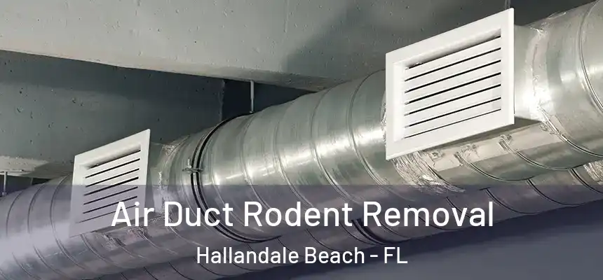 Air Duct Rodent Removal Hallandale Beach - FL