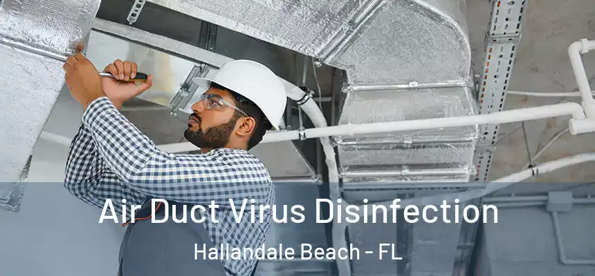 Air Duct Virus Disinfection Hallandale Beach - FL