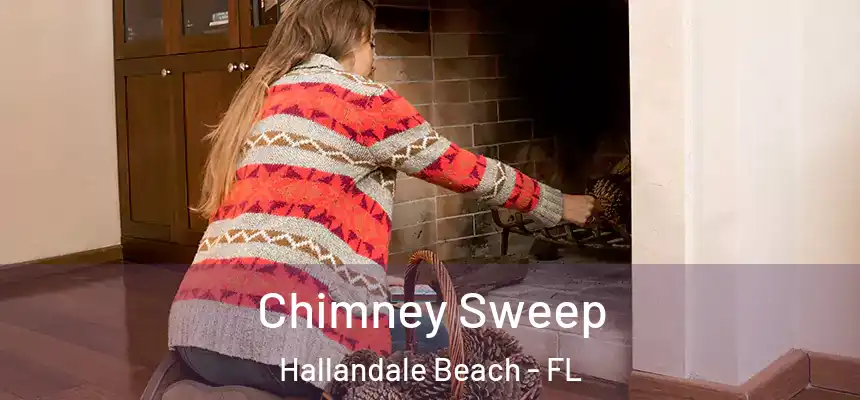 Chimney Sweep Hallandale Beach - FL
