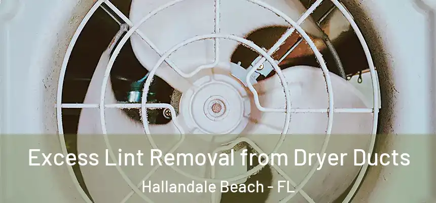 Excess Lint Removal from Dryer Ducts Hallandale Beach - FL