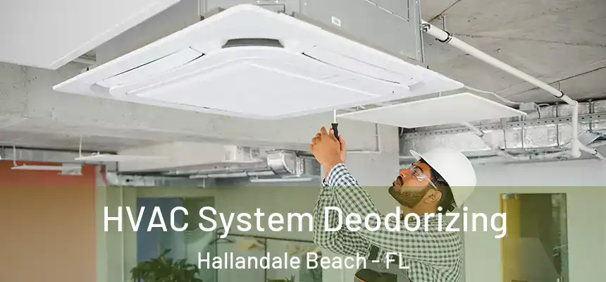 HVAC System Deodorizing Hallandale Beach - FL