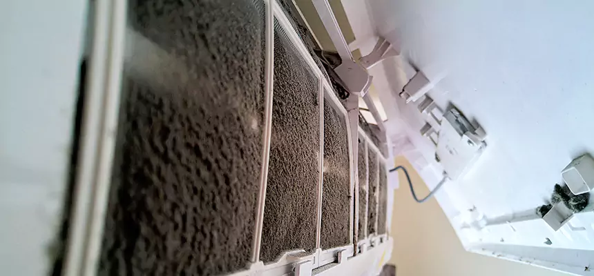 Preventive Air Duct Bacteria Removal in Hallandale Beach