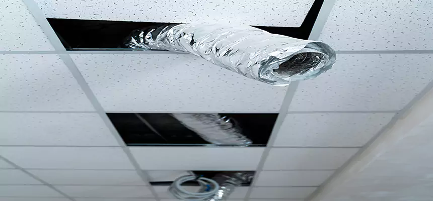 Our Air Duct Pet Hair Removal Services in Hallandale Beach, FL