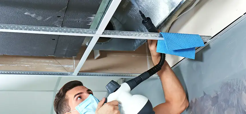 Our Air Duct Rodent Removal Services in Hallandale Beach, FL