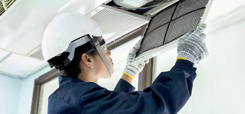 Our Mold & Mildew Removal from Air Ducts Services in Hallandale Beach, FL