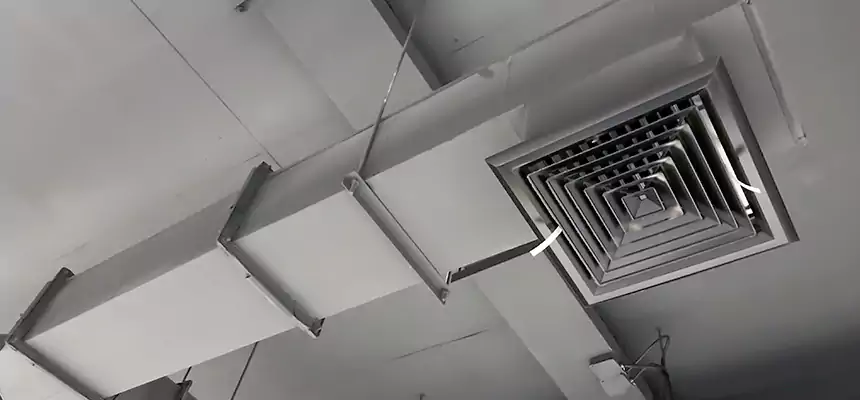 Our Rodent Droppings In Vents Services in Hallandale Beach, FL