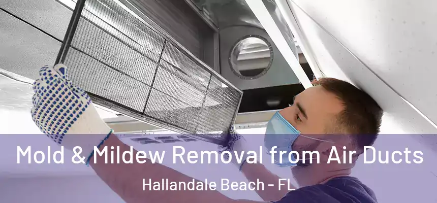 Mold & Mildew Removal from Air Ducts Hallandale Beach - FL