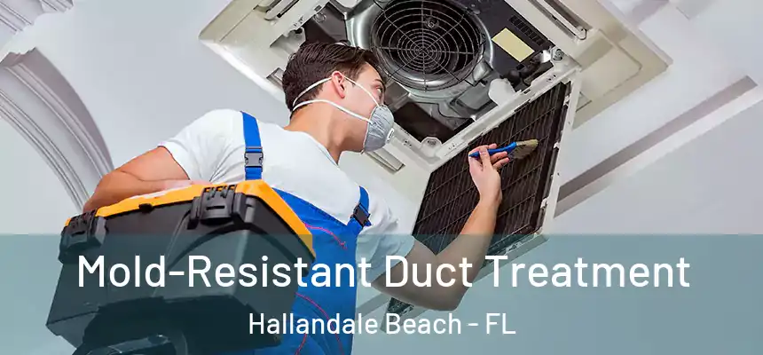 Mold-Resistant Duct Treatment Hallandale Beach - FL