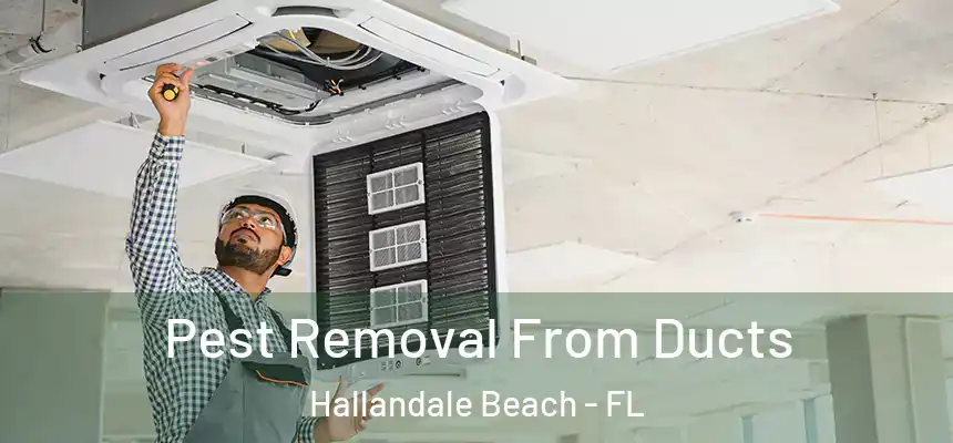 Pest Removal From Ducts Hallandale Beach - FL