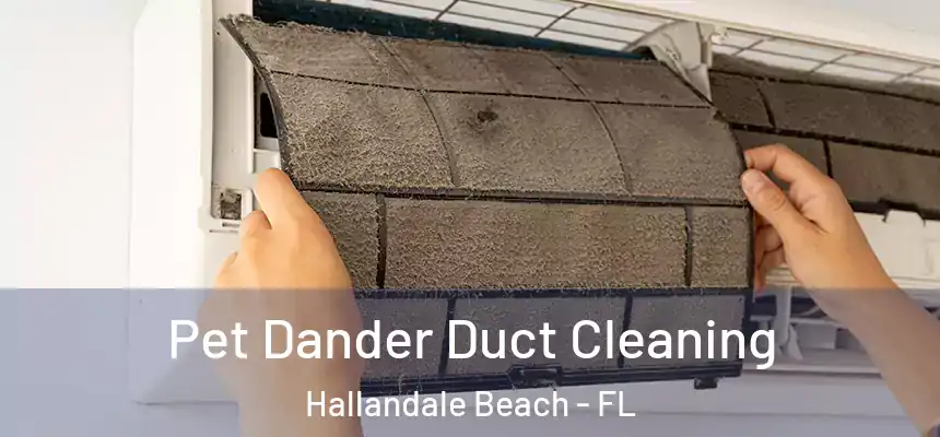 Pet Dander Duct Cleaning Hallandale Beach - FL
