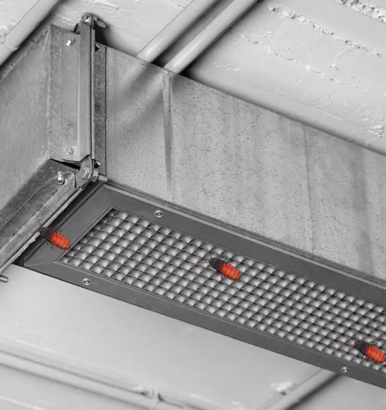 About Air Duct Cockroach Removal in Hallandale Beach, FL