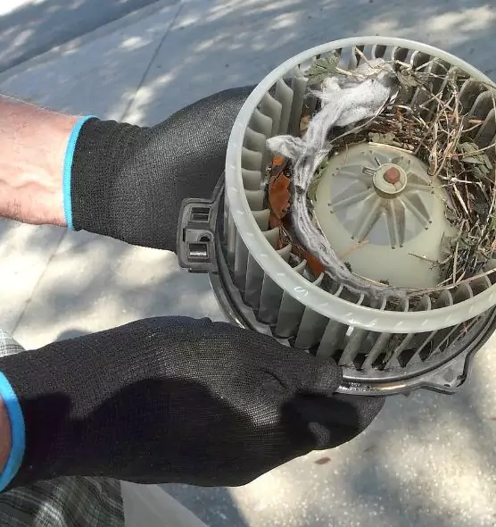 About Air Duct Mice Removal in Hallandale Beach, FL
