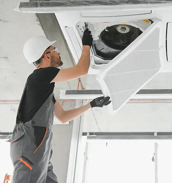 About Air Duct Rodent Removal in Hallandale Beach, FL