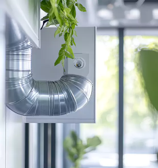 Professional Eco-Safe Dryer Vent Cleaning in Hallandale Beach, FL