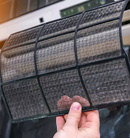 About Pet Dander Duct Cleaning in Hallandale Beach, FL