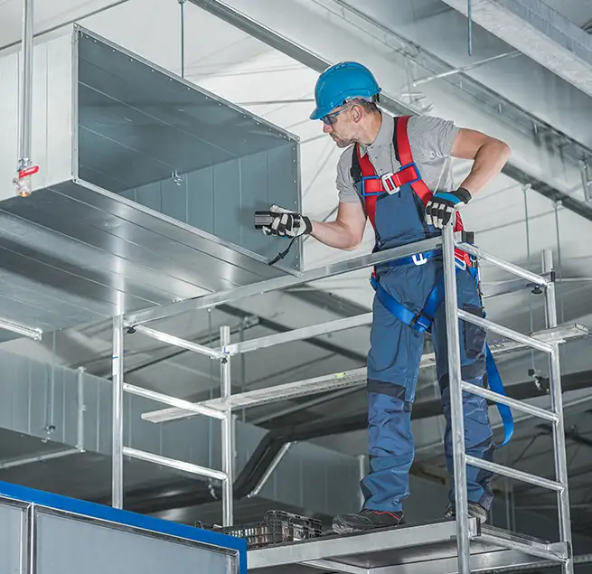 Why Homeowners & Businesses Trust Us in Hallandale Beach, FL?