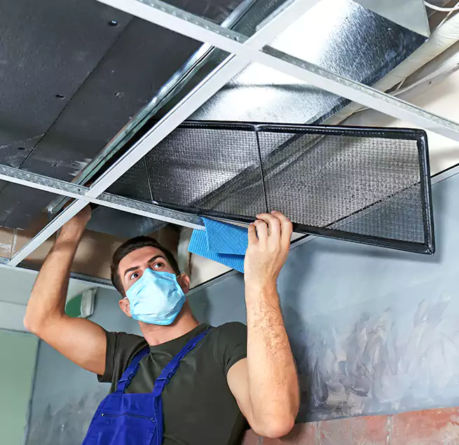 Why Homeowners Businesses Trust Us in Hallandale Beach, FL