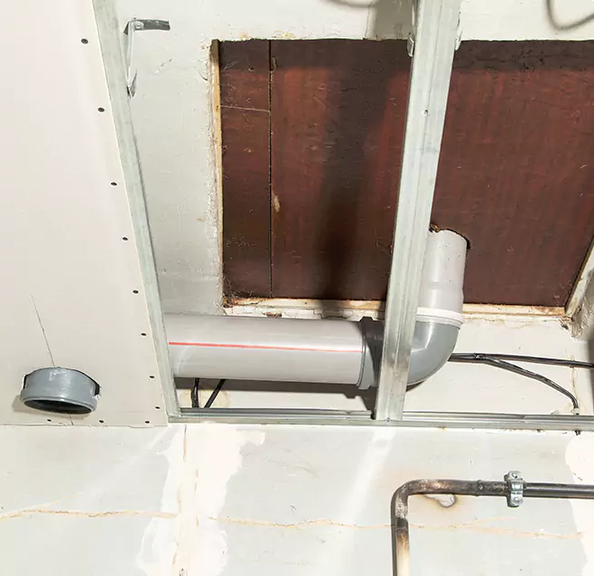 Why Homeowners & Businesses Trust Us in Hallandale Beach, FL?