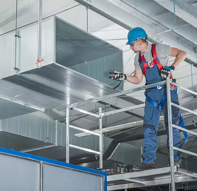 Why Homeowners Businesses Trust Us in Hallandale Beach, FL